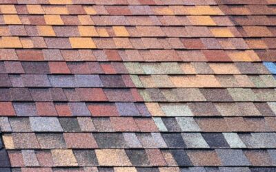 Most Popular Roof Color in Arlington: Trends and Tips